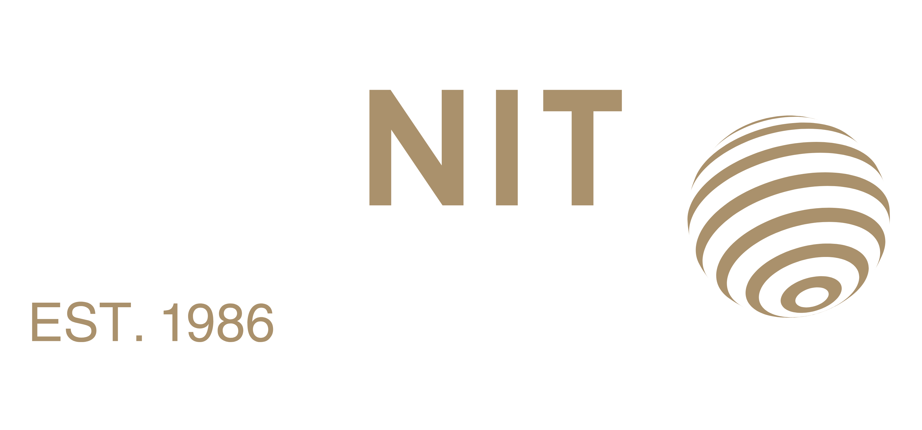Darnit Ltd - Logo